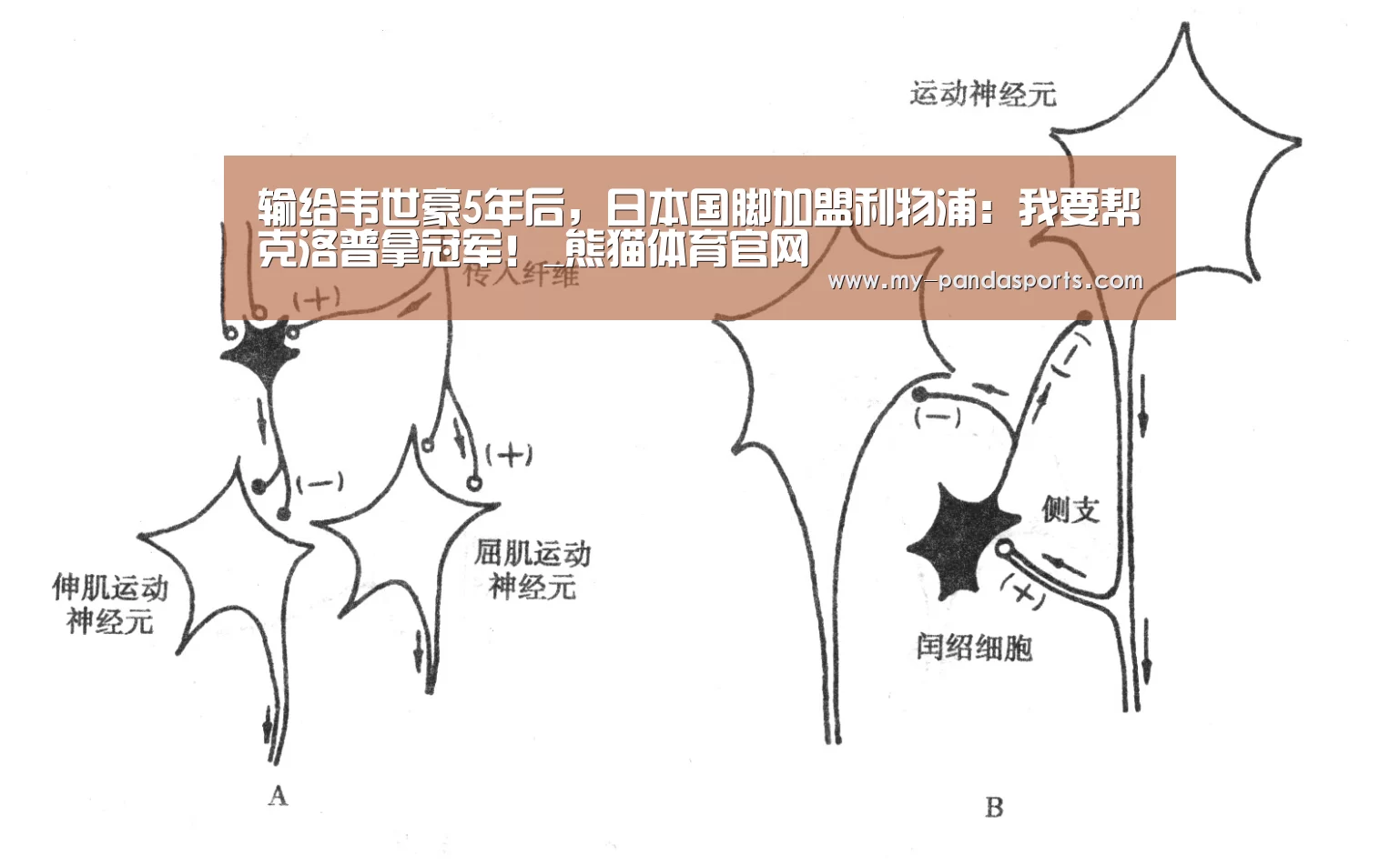 输给韦世豪5年后,日本国脚加盟利物浦:我要帮克洛普拿冠军!_熊猫体育官网(图2) 熊猫体育