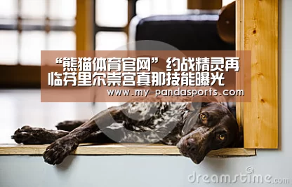 熊猫体育app